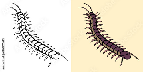 Illustration of a Centipede in Both Black and White and Colored Styles