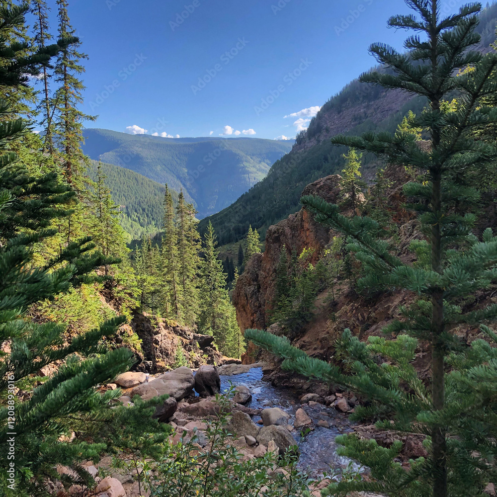 Obraz premium Mountain River