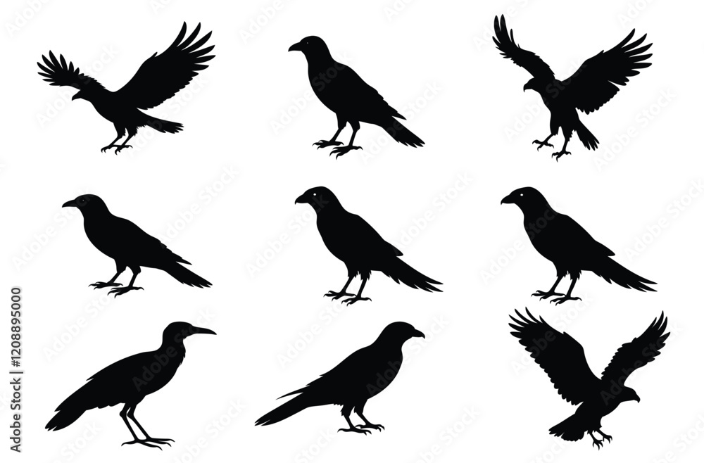 Obraz premium Eagle silhouette vector set icon illustration