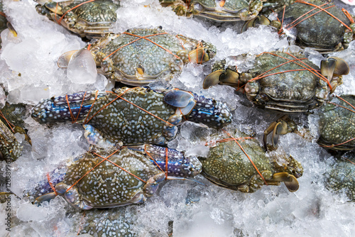 Blue crab - Portunus armatus. Pile of fresh crabs tie with rubber band with in an ice tray on a stall for sale at Thai Seafood Market, Mahachai, Samut Sakhon. photo