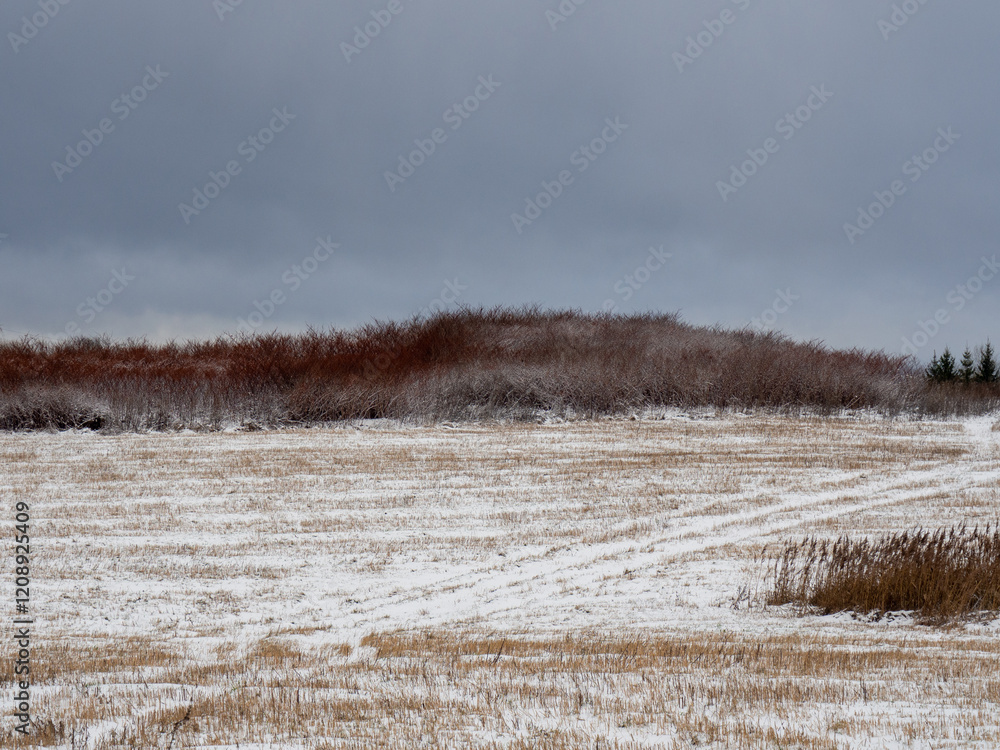 Winter landscape with a snowy field and frosted bushes. Farm field with stubble of harvested crops in winter. The earth rests and sleeps. Natural textures and colors Winter landscape with a snowy field and frosted bushes. Farm field with stubble of harvested crops in winter. The earth rests and sleeps. Natural textures and colors