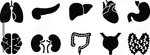 Human Organs Hand Drawn flat Icon Set Organs Vector for apps, web sign symbol heart, liver, stomach, kidney, urinary, eyeball, lung, neuron pictogram for human anatomy