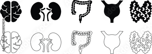 Human Organs Hand Drawn flat Line Icon Set Organs Vector for apps, web sign symbol heart, liver, stomach, kidney, urinary, eyeball, lung, neuron pictogram for human anatomy