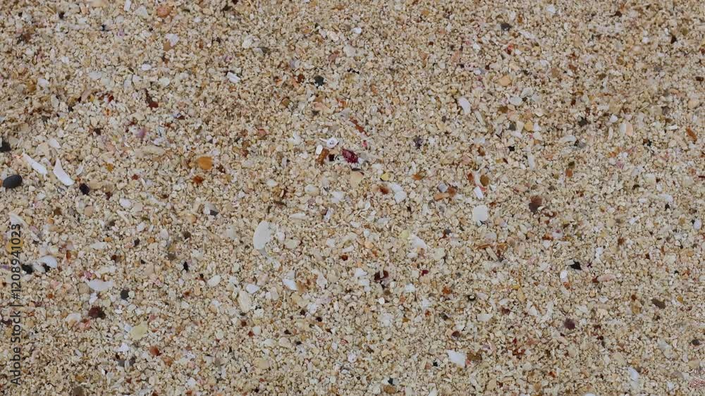 Seashell Beach Sand in Krabi Seashell Beach Sand in Krabi