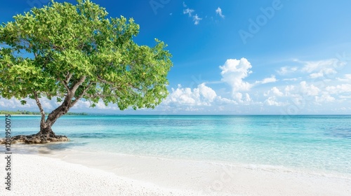 Tropical beach tree scenic view, calm sea, sunny day, vacation travel poster