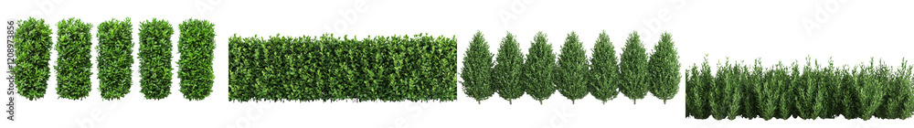 Lush green foliage and shrubbery creating a natural background and Lush green foliage and shrubbery creating a natural background and