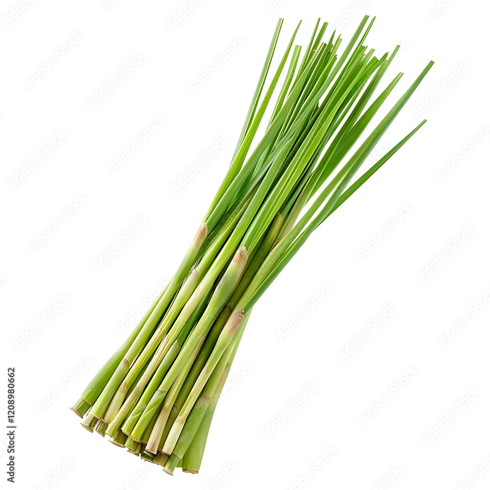 Obraz premium Green Lemongrass isolated on white background