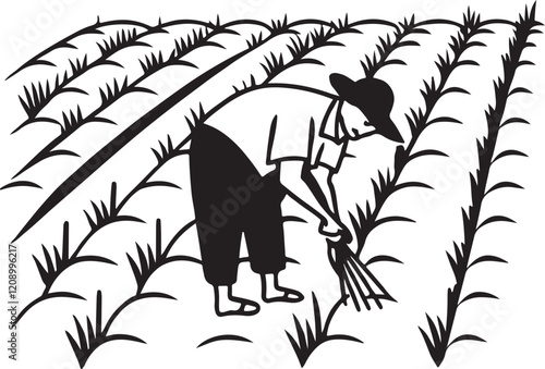 A laborer is harvesting paddy