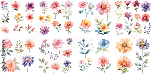 Wallpaper Mural A Big watercolor floral package collection. Use by fabric, fashion, wedding invitation, template, poster, romance, greeting, spring, bouquet, pattern, decoration and textile.	 Torontodigital.ca
