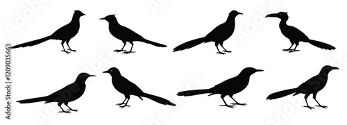 Wallpaper Mural A beautiful wings of a cuckoo bird silhouette vector art Torontodigital.ca