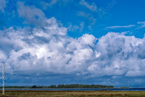 Storm clouds hover the Willapa National Wildlife Refuge at Leadbetter Point State Park, Washington, USA photo