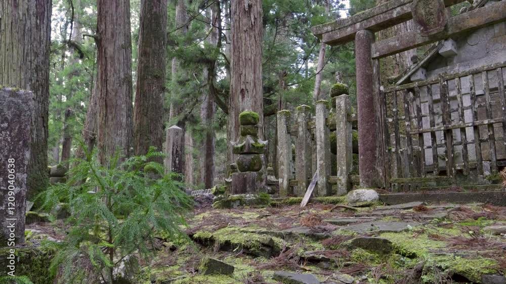 Slow motion cinematic slider over beautiful scenery at Koyasan in Japan Slow motion cinematic slider over beautiful scenery at Koyasan in Japan