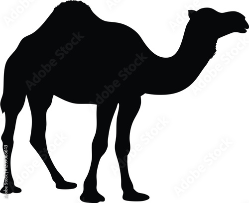 Camel silhouette vector, Black arabian camel silhouette, Camel icon vector illustration