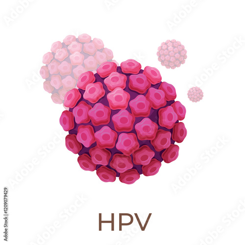 Illustration of the structure and characteristics of the human HPV virus under a microscope