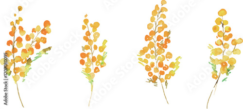 手描きのミモザイラスト。水彩タッチのミモザベクターイラスト。ミモザの春フレーム背景。Hand drawn mimosa illustration. Mimosa vector illustration with watercolor touch. Mimosa spring frame background.