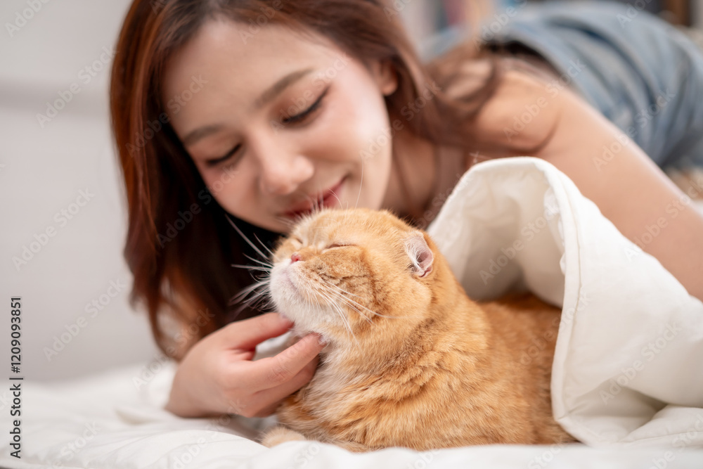 Asian beautiful woman petting her domestic cat with happiness at home. Asian beautiful woman petting her domestic cat with happiness at home.