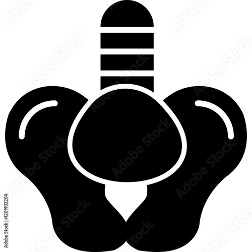 Pelvis Icon