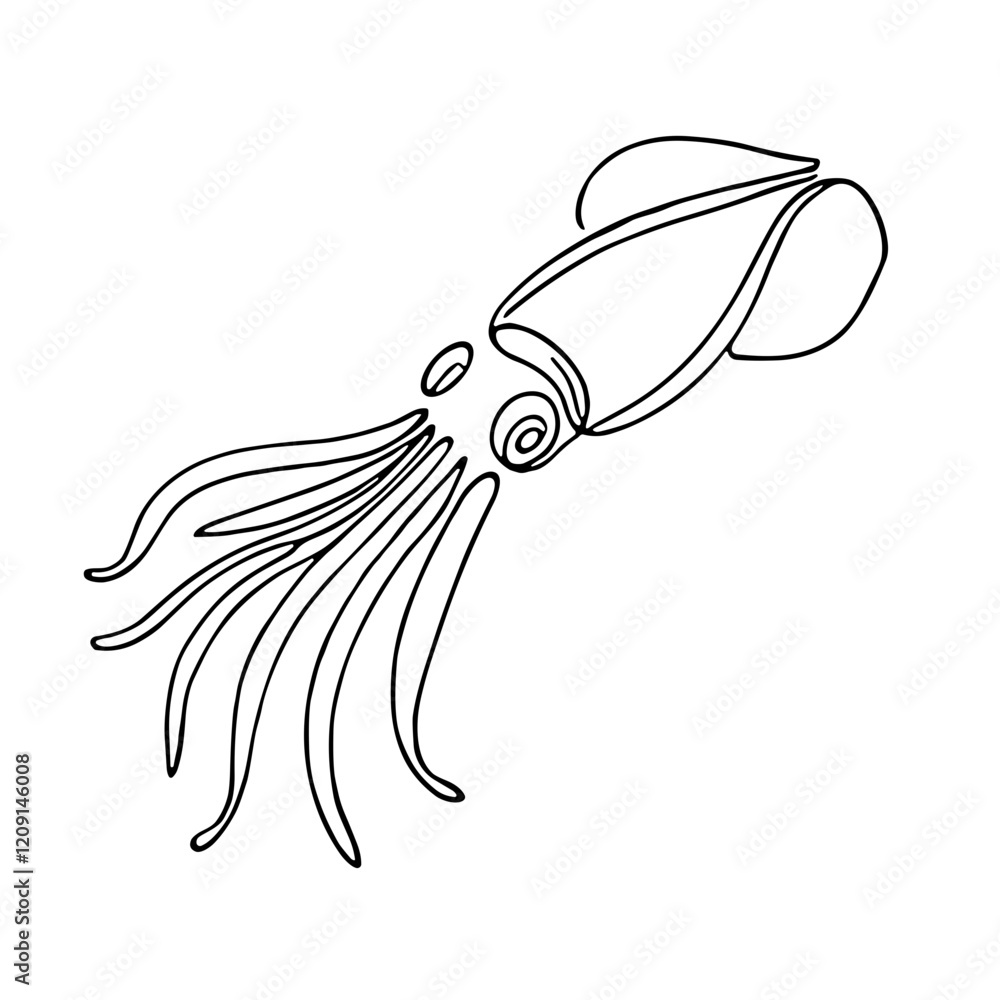 Fototapeta premium Squid, vector, black line drawing, minimalistic, single line, simple line, isolated, transparent background