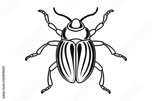 Beetle line art vector illustration.eps