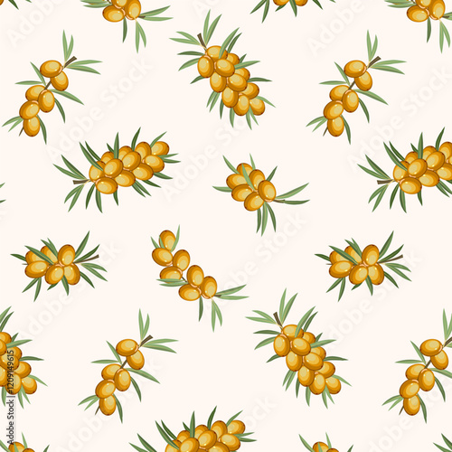 Illustration with sea buckthorn branches.Sea buckthorn branches on a white background in a color vector pattern.