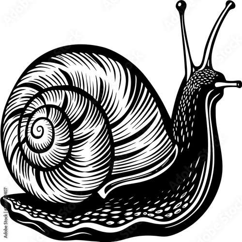 A snail on a white background vector design