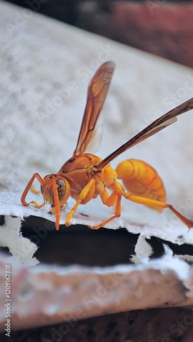 Abstract image of a wasp with vibrant colors and unique patterns. Great for artistic inspiration, design projects, or as a decorative element.