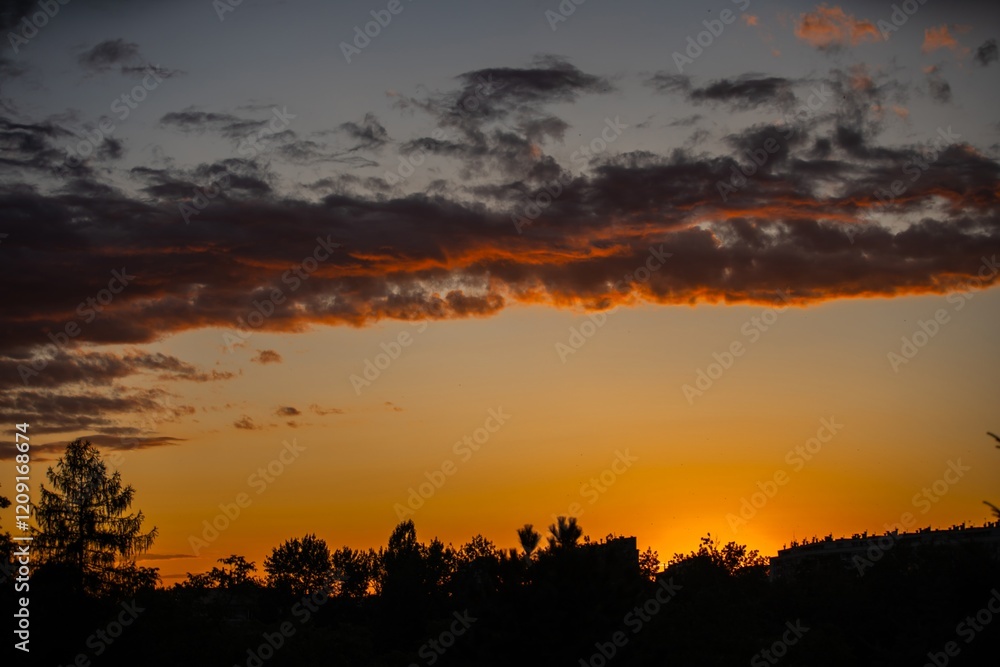 Vibrant sunset casting warm hues over trees and landscape in a tranquil evening sky Vibrant sunset casting warm hues over trees and landscape in a tranquil evening sky