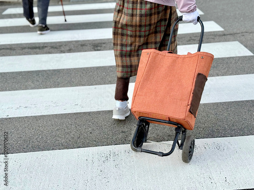 ショッピングカートを引いて横断歩道を歩く高齢女性 photo