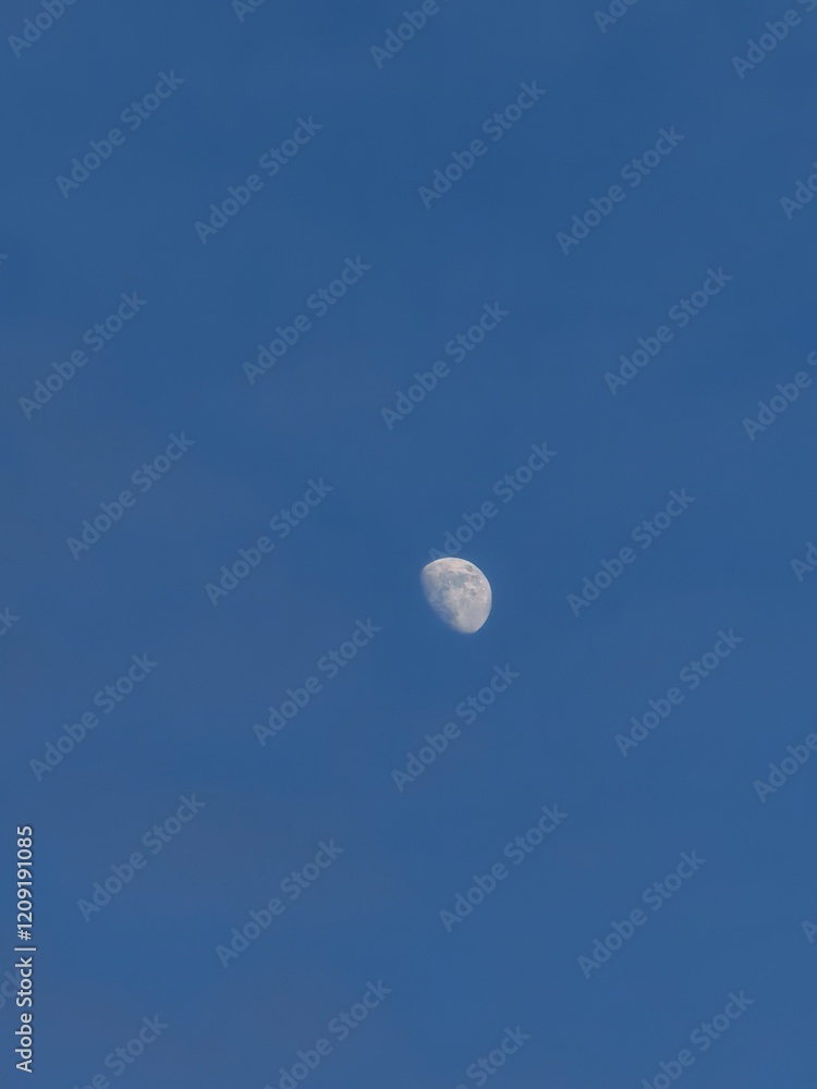 Moon Moon