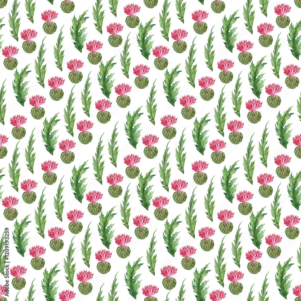 Watercolor seamless pattern with stylized twigs, flowers and leaves of the Thistle plant Watercolor seamless pattern with stylized twigs, flowers and leaves of the Thistle plant