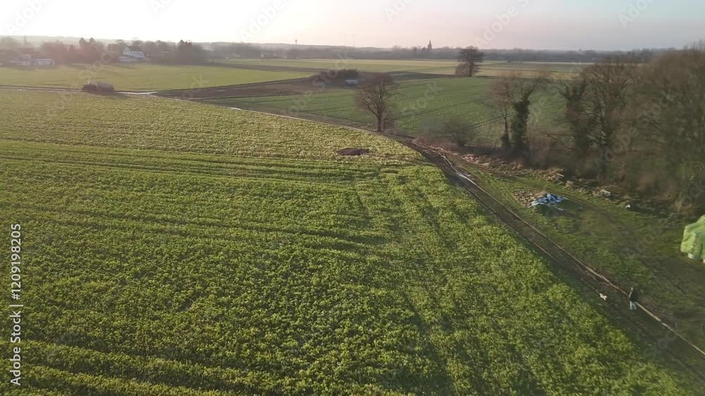 lush farmland illuminated by sunlight, and a truck seen in a distance in German countryside lush farmland illuminated by sunlight, and a truck seen in a distance in German countryside