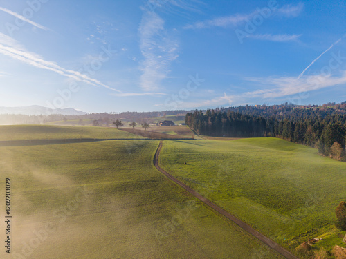 Misty Neuenkirch Fields