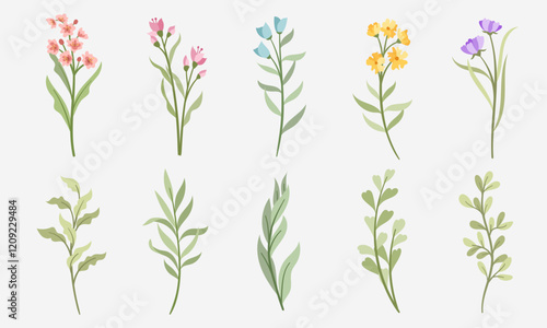 Hand Drawn Wildflower Vector Set Illustrations. Elegant Floral Elements with Hand Painted Color for Wedding and Decoration Pattern. Flower Collection Illustrations
