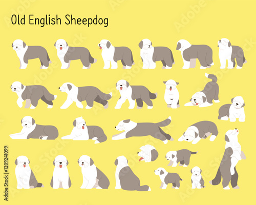 A collection of various Old English Sheepdog movements. simple vector illustrations.