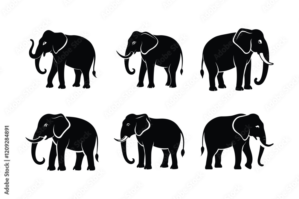 Obraz premium Indian Elephant (Elephas maximus indicus) mammal animal, labeled silhouette vector art illustration.