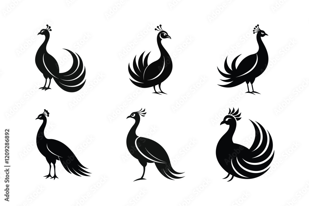 Fototapeta premium Indian Peafowl (Pavo cristatus) mammal animal, labeled silhouette vector art illustration.