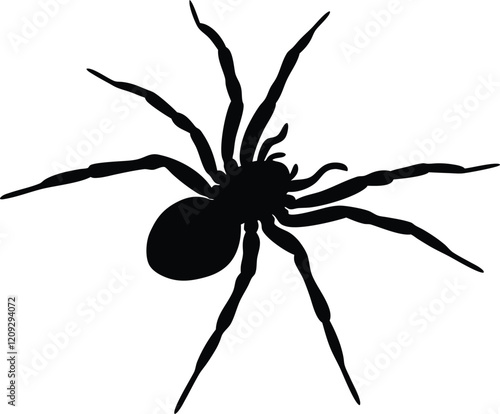 Spider silhouette vector, Spider icon sign vector illustration design