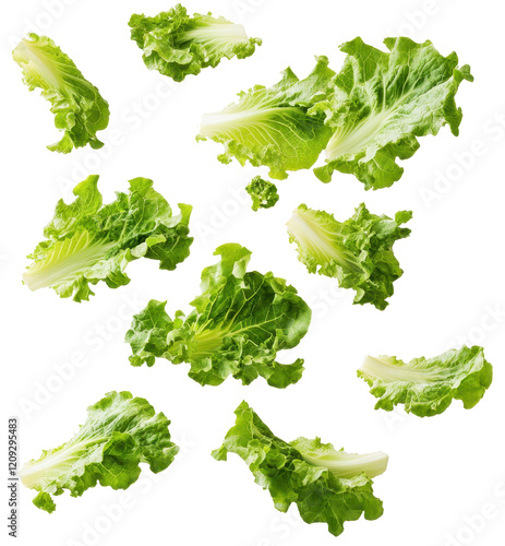 flying lettuce leaves isolated on transparent background