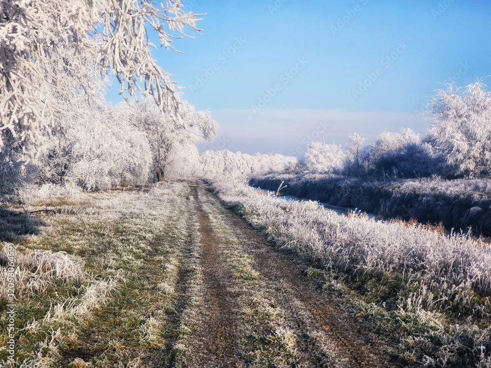 Rural Winter Landscape in Europe Rural Winter Landscape in Europe