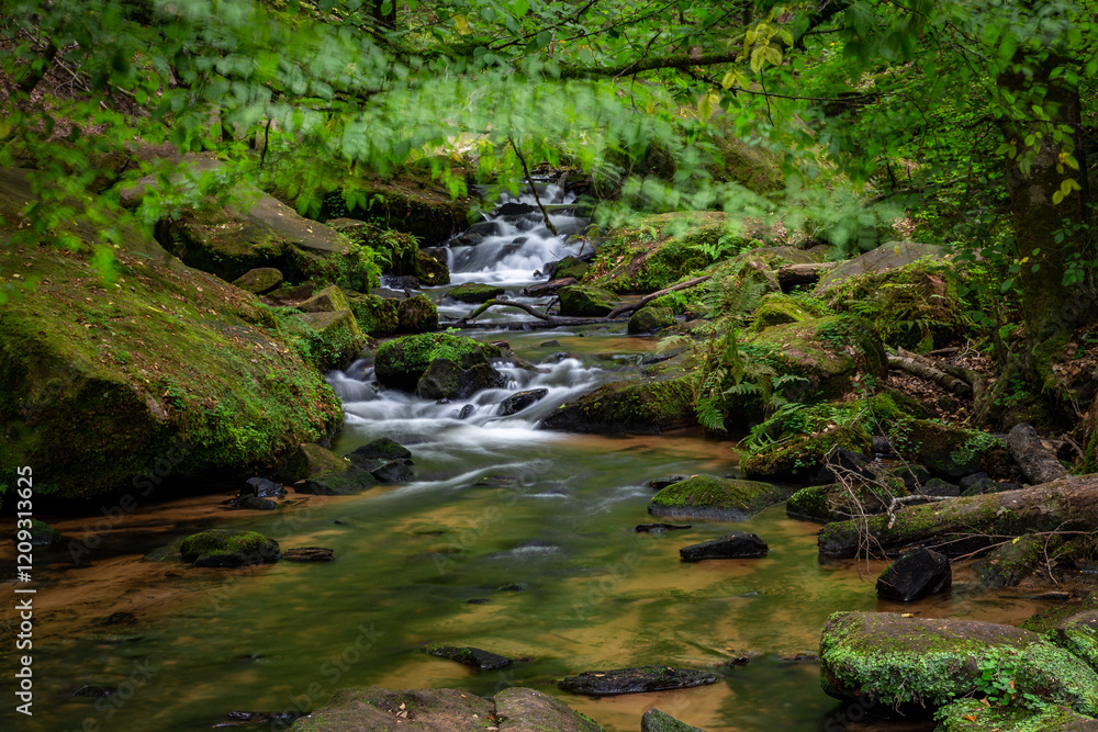 Creek of Moosalbe in Karlstalschlucht with small Waterfalls, Rhineland-Palatinate, Germany, Europe Creek of Moosalbe in Karlstalschlucht with small Waterfalls, Rhineland-Palatinate, Germany, Europe