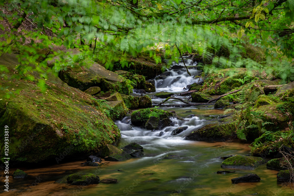 Creek of Moosalbe in Karlstalschlucht with small Waterfalls, Rhineland-Palatinate, Germany, Europe Creek of Moosalbe in Karlstalschlucht with small Waterfalls, Rhineland-Palatinate, Germany, Europe