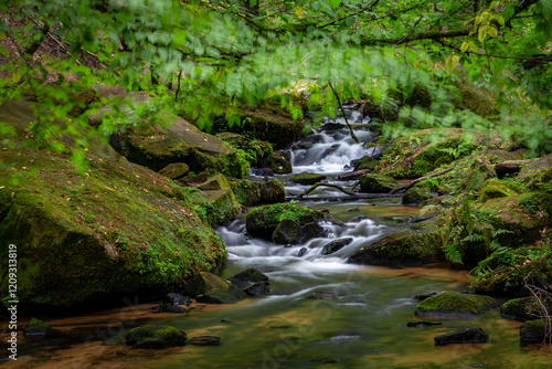 Creek of Moosalbe in Karlstalschlucht with small Waterfalls, Rhineland-Palatinate, Germany, Europe