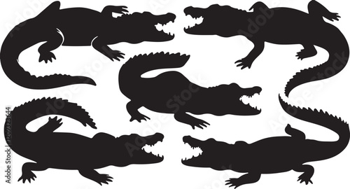 Crocodile silhouettes