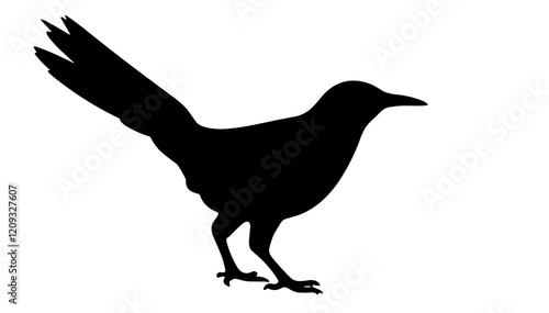 Silhouette of a bird standing