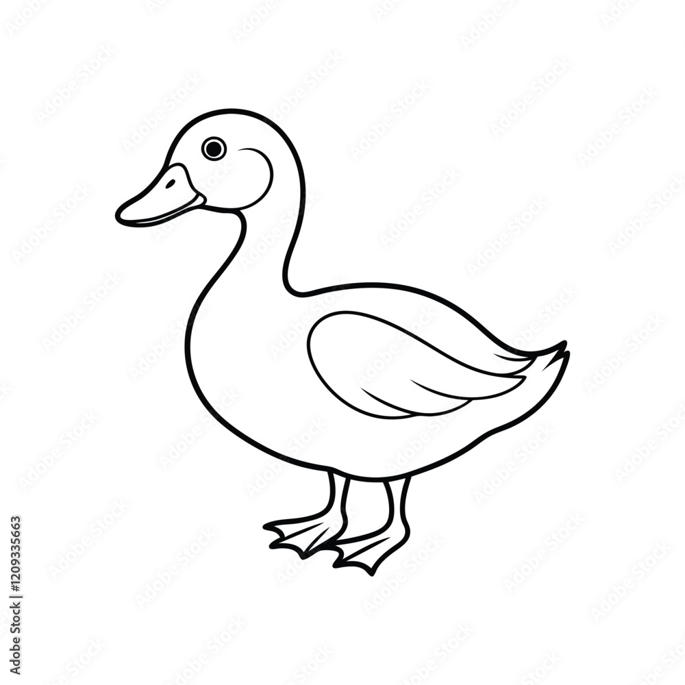 duck illustration duck illustration