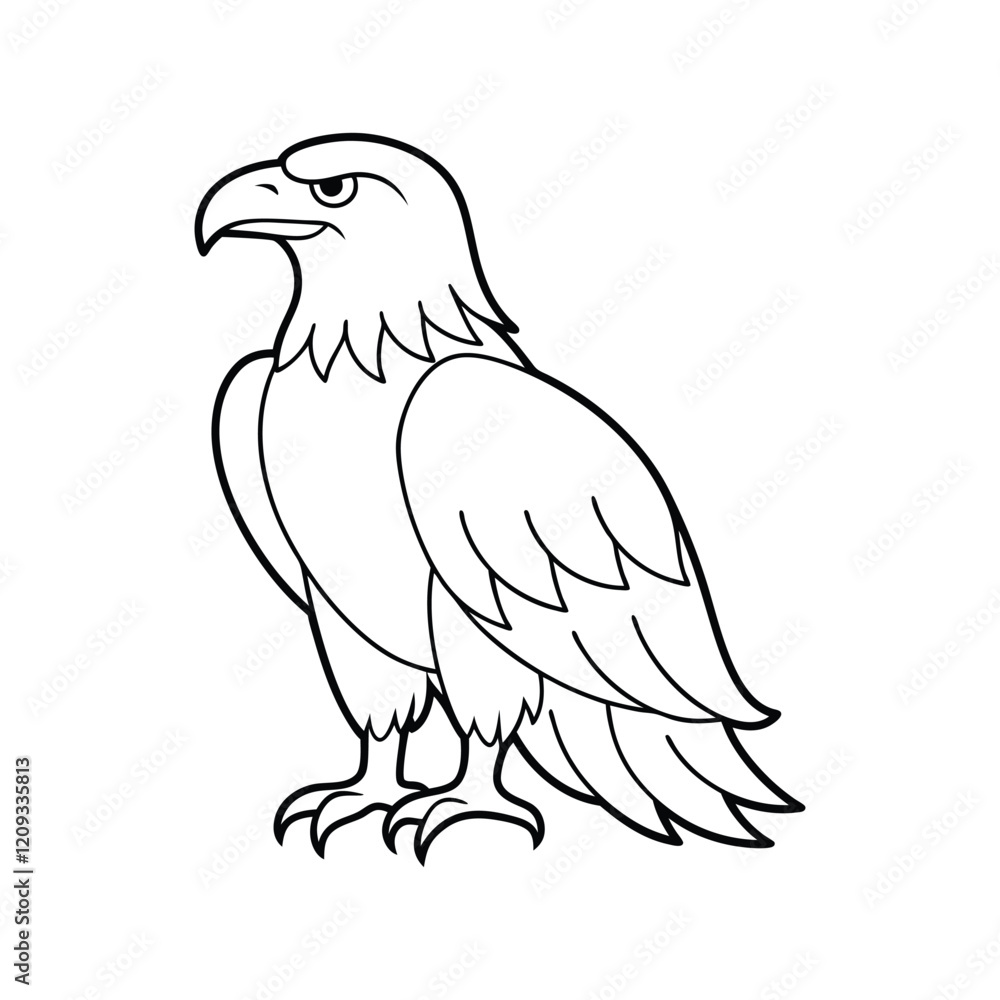 illustration of a bird illustration of a bird