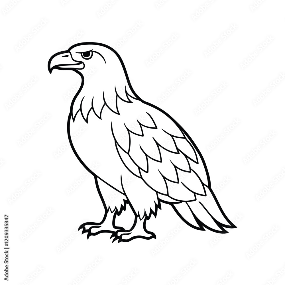 eagle isolated on white eagle isolated on white