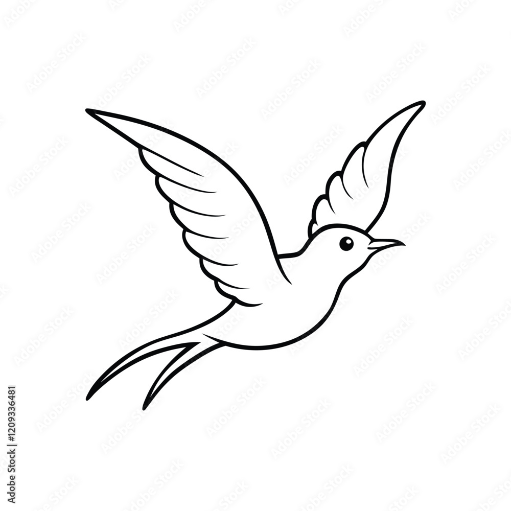 dove of peace isolated dove of peace isolated
