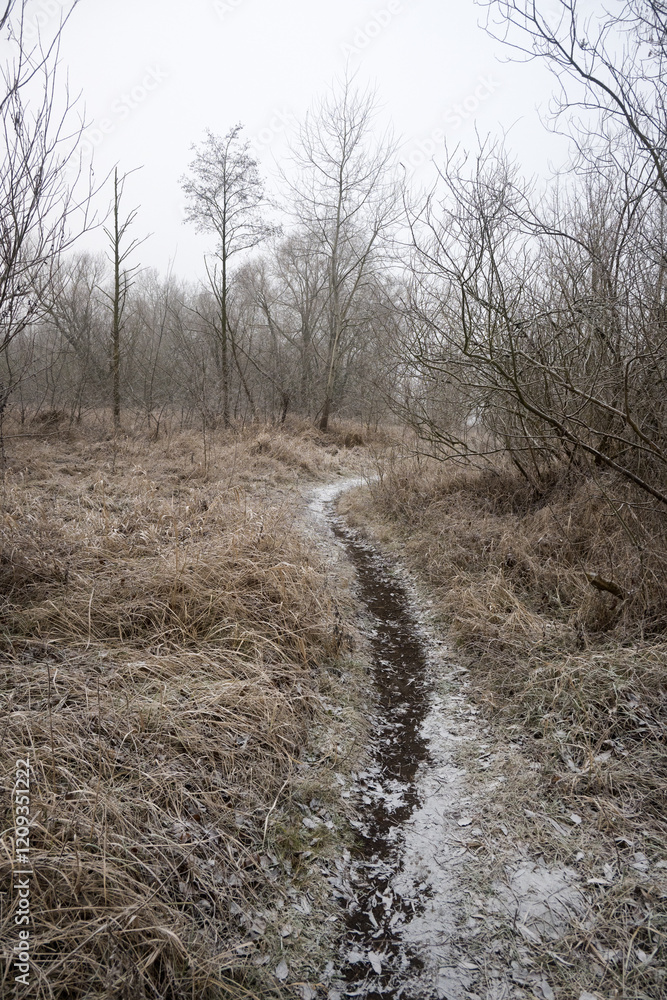 Winter landscape, effect of falling rime.
Winter landscape, effect of falling rime.