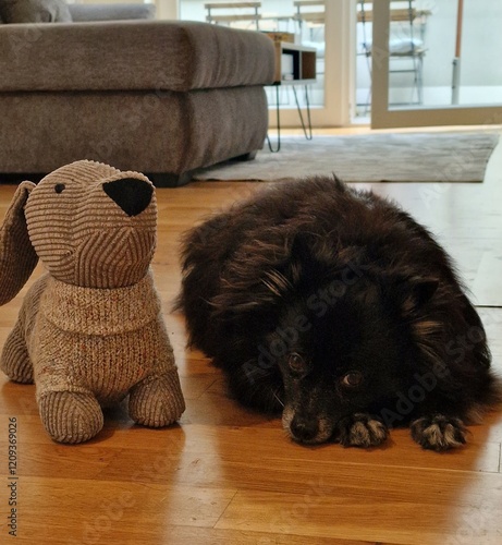 Little black dog laying on wooden floor with head on her paws and a stuffed toy dog next to her in front of a couch and window